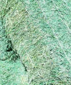 ALFALFA HAY FOR SALE