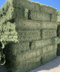 🌿 Premium Hay for Mini Highland Cows – Fresh, Nutritious & Farm-Ready! 🐮 - Mini Highland Cows For Sale